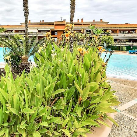 プエルト・デ・ラ・クルスPiscinas Del Teideアパートメント エクステリア 写真